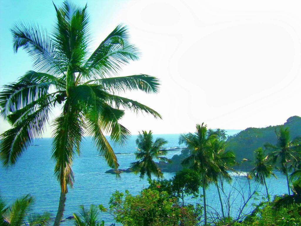 Amour Surf Tangalle Buitenkant foto