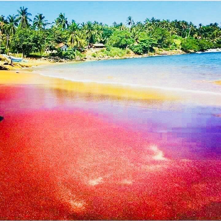 Amour Surf Tangalle Buitenkant foto